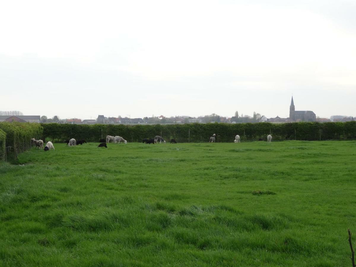 De Molenkreek Sint-Margriete Exterior foto