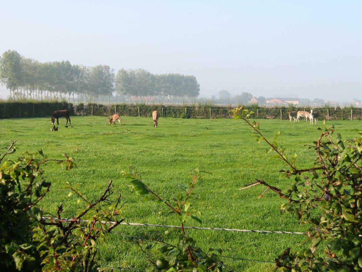 De Molenkreek Sint-Margriete Exterior foto
