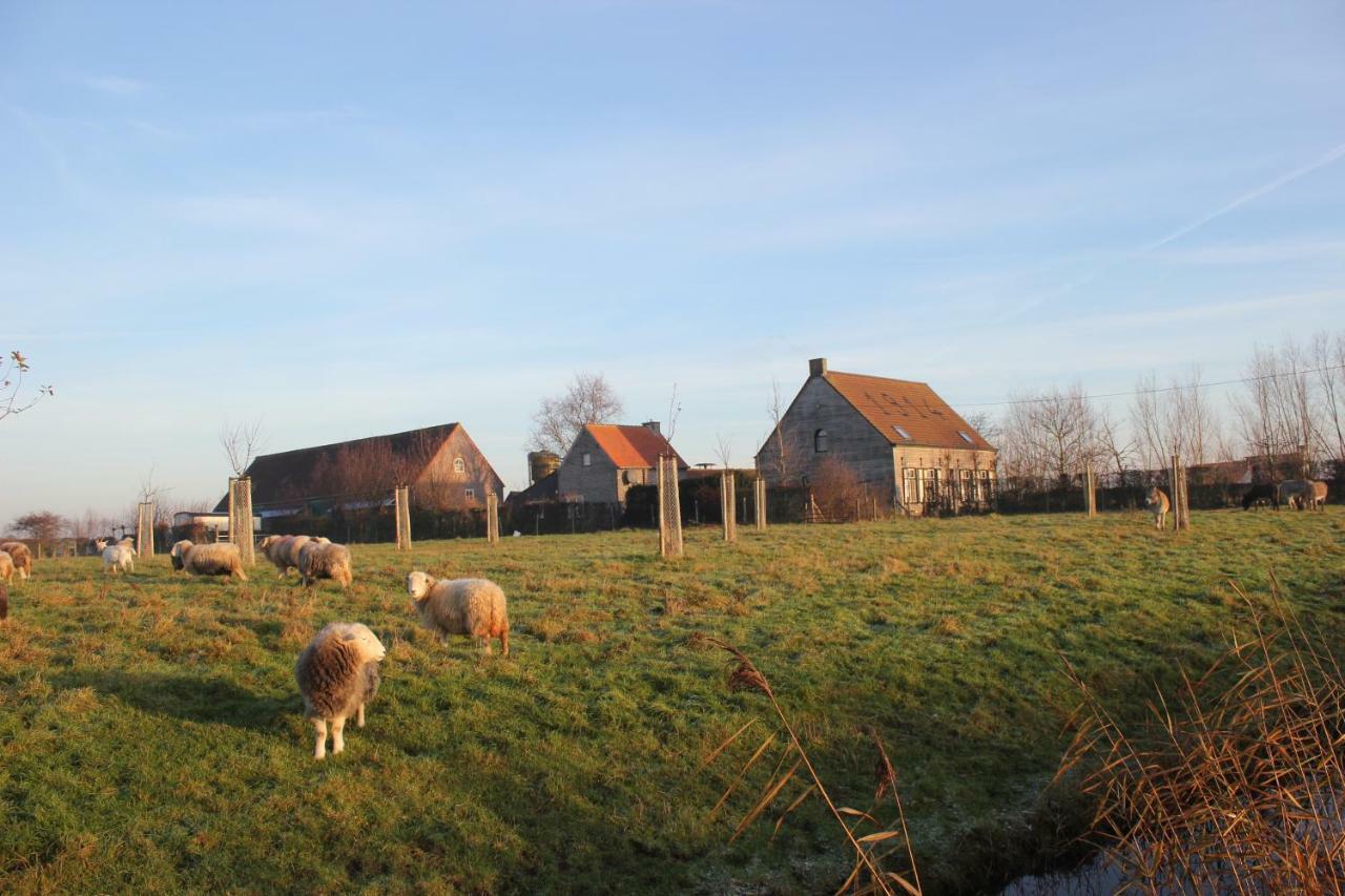 De Molenkreek Sint-Margriete Exterior foto